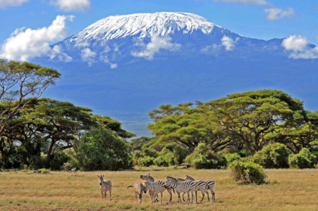 International Intensive Training in Tanzania 2021 CNVC Berge