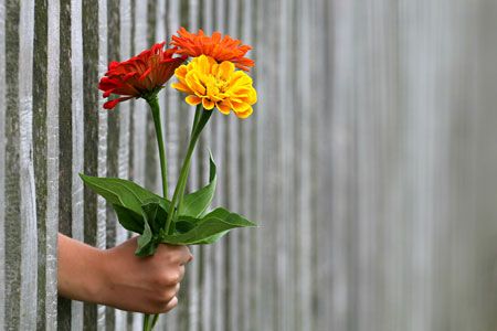 Blumenstrauß durch Zaun gesteckt. Methoden des Miteinander