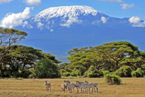 International Intensive Training in Tanzania 2021 CNVC Berge